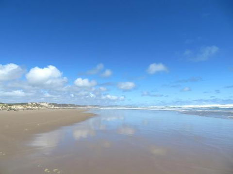 Arthur Riverfront & Sea Lodge Downstream - Accommodation Mount Tamborine 0