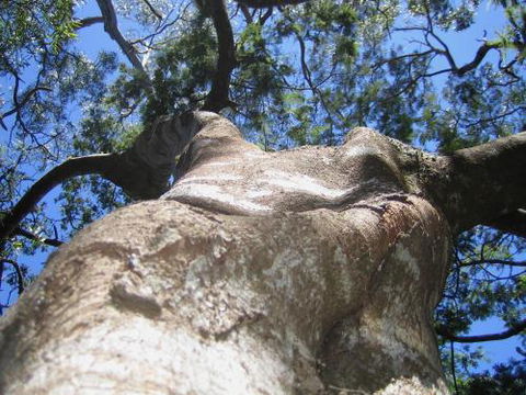 Arthur Riverfront & Sea Lodge Downstream - Accommodation Mount Tamborine 4