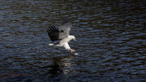 Arthur Riverfront & Sea Lodge Downstream - Accommodation Mount Tamborine 3