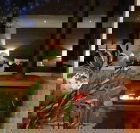 Hidden Valley Forest Retreat - Accommodation Mount Tamborine