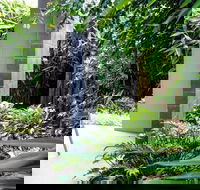 Laguna Apartments - Accommodation Mount Tamborine