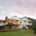 Maviss Cabins At Mt. Warning - Accommodation Mount Tamborine 0