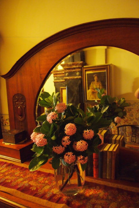 Vacy Hall Toowoomba's Grand Boutique Hotel - Accommodation Mount Tamborine 6