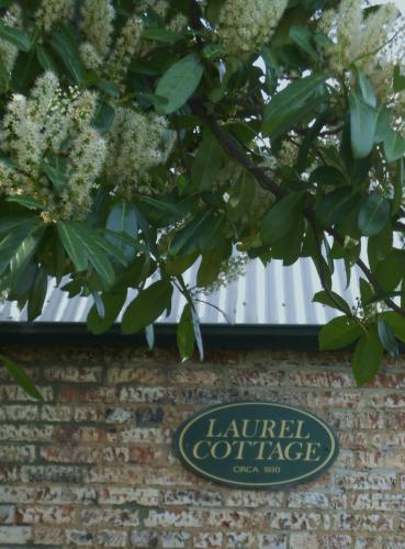 Laurel Cottage - Accommodation Mount Tamborine 1