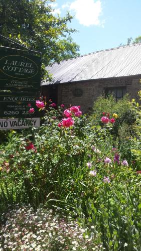 Laurel Cottage - Accommodation Mount Tamborine 5