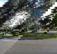 Greenacres Motel - Accommodation Mount Tamborine