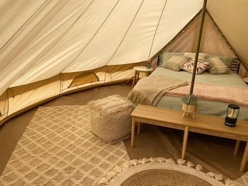 Mungo Roo - Accommodation Mount Tamborine 5