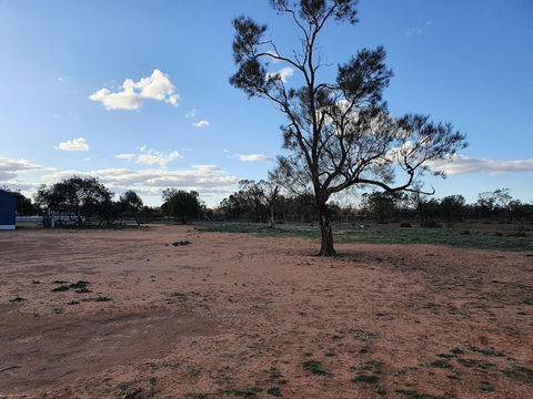 Mungo Roo - Accommodation Mount Tamborine 4
