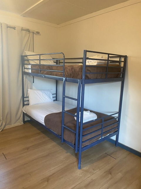 Mungo Roo - Accommodation Mount Tamborine 1