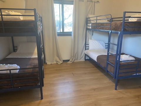 Mungo Roo - Accommodation Mount Tamborine 0
