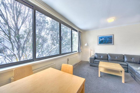 Snow Ski Apartments 09 - Accommodation Mount Tamborine 2