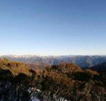 Elkhorn 7 - Accommodation Mount Tamborine