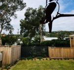 Pacific Terraces 2 38 Pacific Street - Accommodation Mount Tamborine