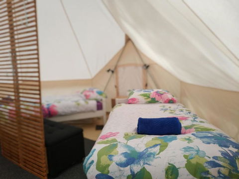 Glamping At Zeehan Bush Camp - Accommodation Mount Tamborine 6