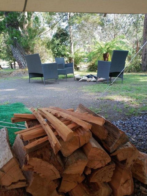 Glamping At Zeehan Bush Camp - Accommodation Mount Tamborine 5