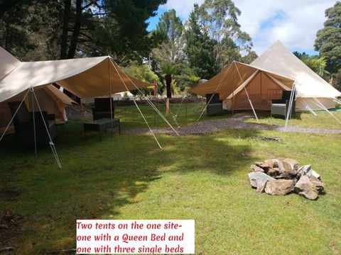 Glamping At Zeehan Bush Camp - Accommodation Mount Tamborine 2