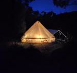 Glamping at Zeehan Bush Camp - Accommodation Mount Tamborine