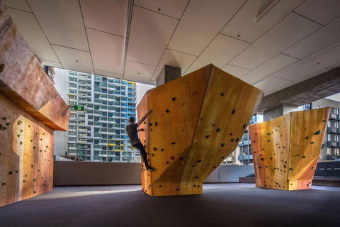 A Stylish & Cozy Studio Next To Southern Cross - Accommodation Mount Tamborine 5