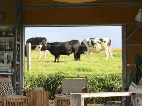 THE SHED Gerroa 4pm Checkout On Sundays & Public Holidays - Accommodation Mount Tamborine 6