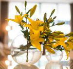 KUI Manhattan Apartments - Accommodation Mount Tamborine