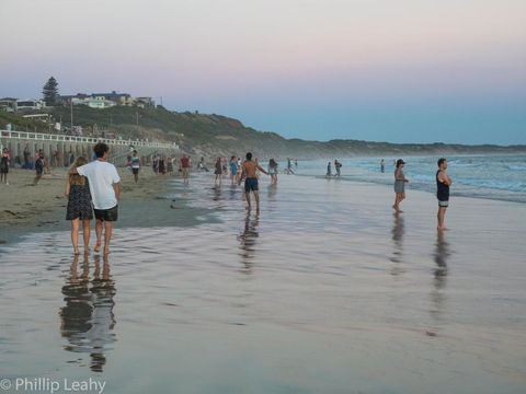 Alices Palace 2 Minute Walk To Lifeguard Patrolled Surf Beach - Accommodation Mount Tamborine 4