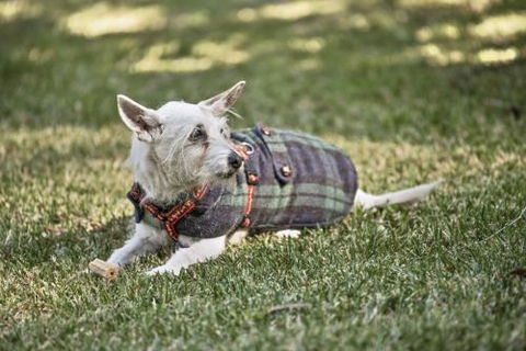 BEACH WITHIN REACH - Accommodation Mount Tamborine 4