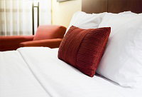 Jackaroo Hostel Sydney - Accommodation Mount Tamborine 0