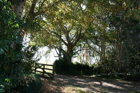Maleny Mountain Retreat - Accommodation Mount Tamborine 0