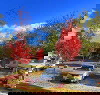 Beechworth Lake Sambell Caravan Park - Accommodation Mount Tamborine
