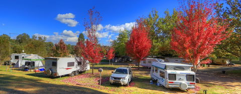 Beechworth Lake Sambell Caravan Park - Accommodation Mount Tamborine 0