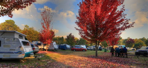 Beechworth Lake Sambell Caravan Park - Accommodation Mount Tamborine 3