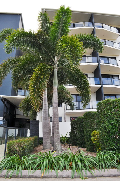 The Bay - Accommodation Mount Tamborine 2