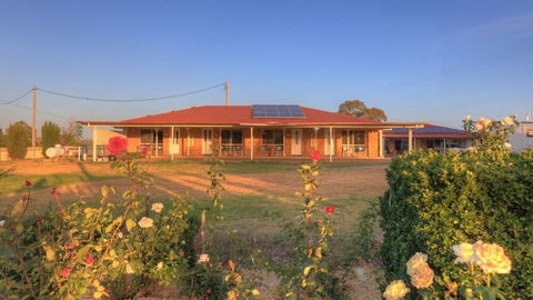 The Golfers Inn - Accommodation Mount Tamborine 4