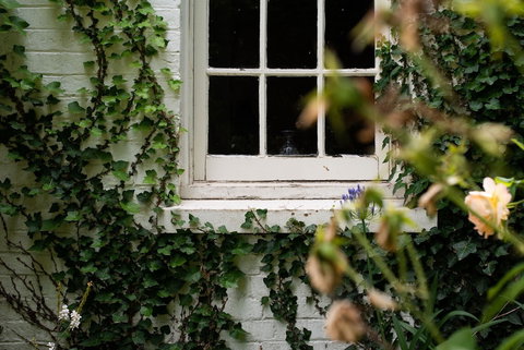 Fitzpatrick's Inn - Accommodation Mount Tamborine 0