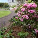  Accommodation Mount Tamborine