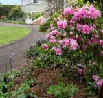Anabels of Scottsdale - Accommodation Mount Tamborine