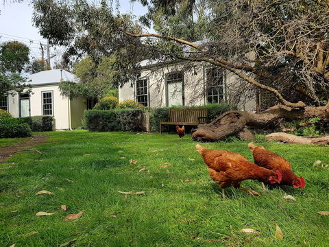 Clonmara Country House & Cottages - Accommodation Mount Tamborine 1