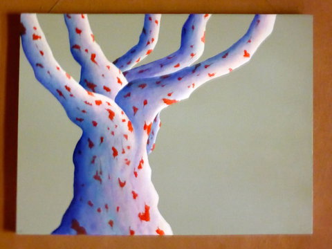 Wildwood Guesthouse - Accommodation Mount Tamborine 4