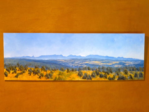 Wildwood Guesthouse - Accommodation Mount Tamborine 5