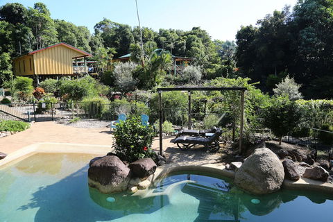 Licuala Lodge - Accommodation Mount Tamborine 6