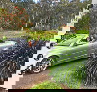Valley Farm Vineyard Cottages - Accommodation Mount Tamborine
