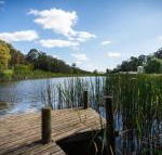 Gracefield Estate - Accommodation Mount Tamborine