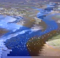 Dolphin Waters Tin Can Bay - Accommodation Mount Tamborine