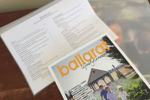 Ballarat Colonial Motor Inn & Apartments - Accommodation Mount Tamborine 2