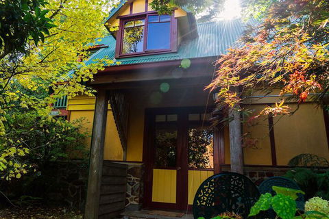 Arnica Views - Accommodation Mount Tamborine 4