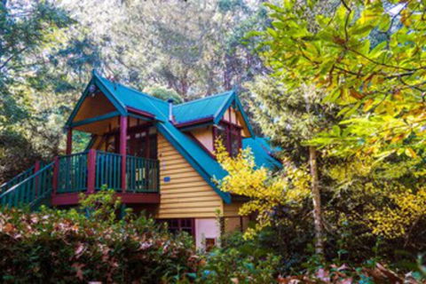 Arnica Views - Accommodation Mount Tamborine 0