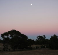 Boroka Downs - Accommodation Mount Tamborine