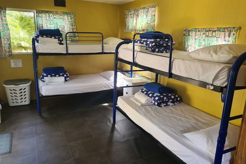 Shady Willows Holiday Park & YHA - Accommodation Mount Tamborine 6