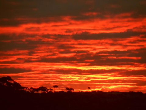 Tennessee Hill Chalets - Accommodation Mount Tamborine 0