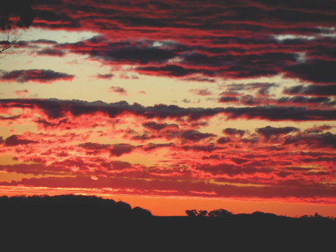 Tennessee Hill Chalets - Accommodation Mount Tamborine 1